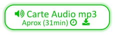  Carte Audio mp3 Aprox (31min)    