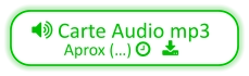  Carte Audio mp3 Aprox (…)    