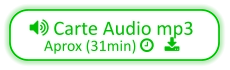  Carte Audio mp3 Aprox (31min)    