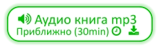  Аудио книга mp3 Приближно (30min)    