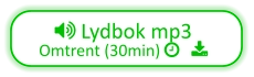  Lydbok mp3  Omtrent (30min)    