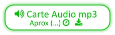  Carte Audio mp3 Aprox (…)    