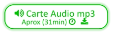  Carte Audio mp3 Aprox (31min)    
