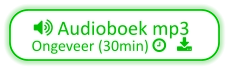  Audioboek mp3 Ongeveer (30min)    
