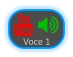   Voce 1