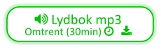 Lydbok mp3  Omtrent (30min)    